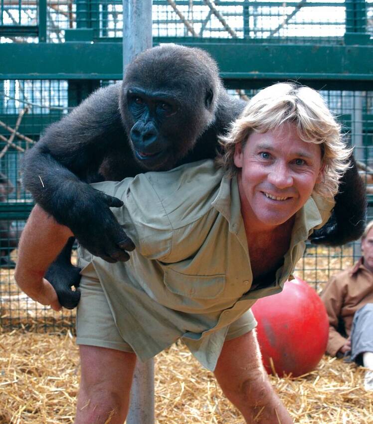 steve irwin
