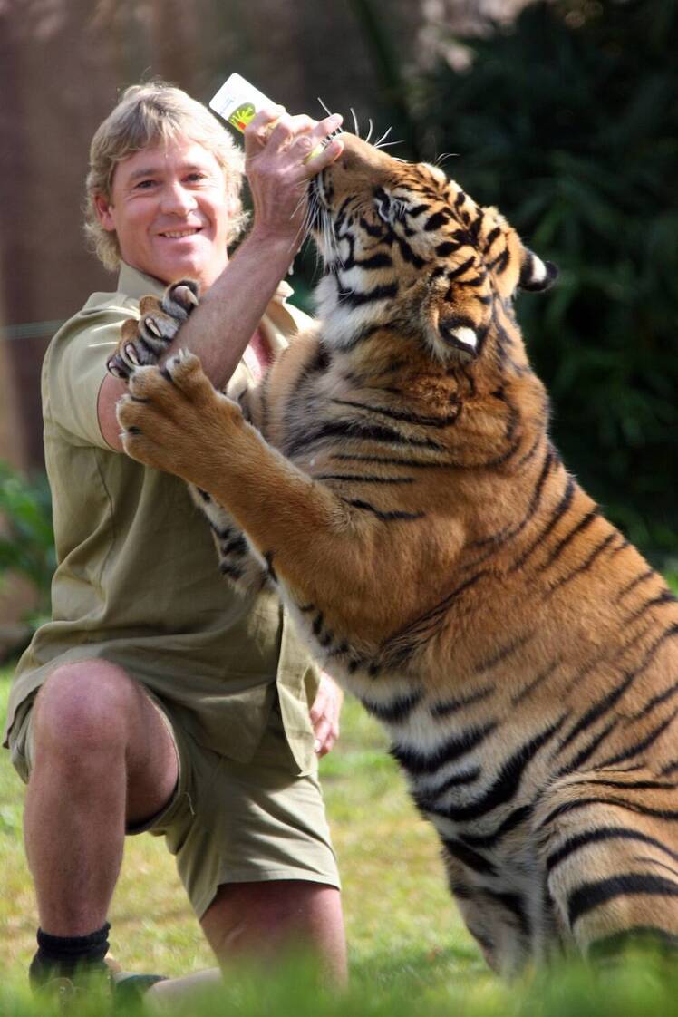 steve irwin