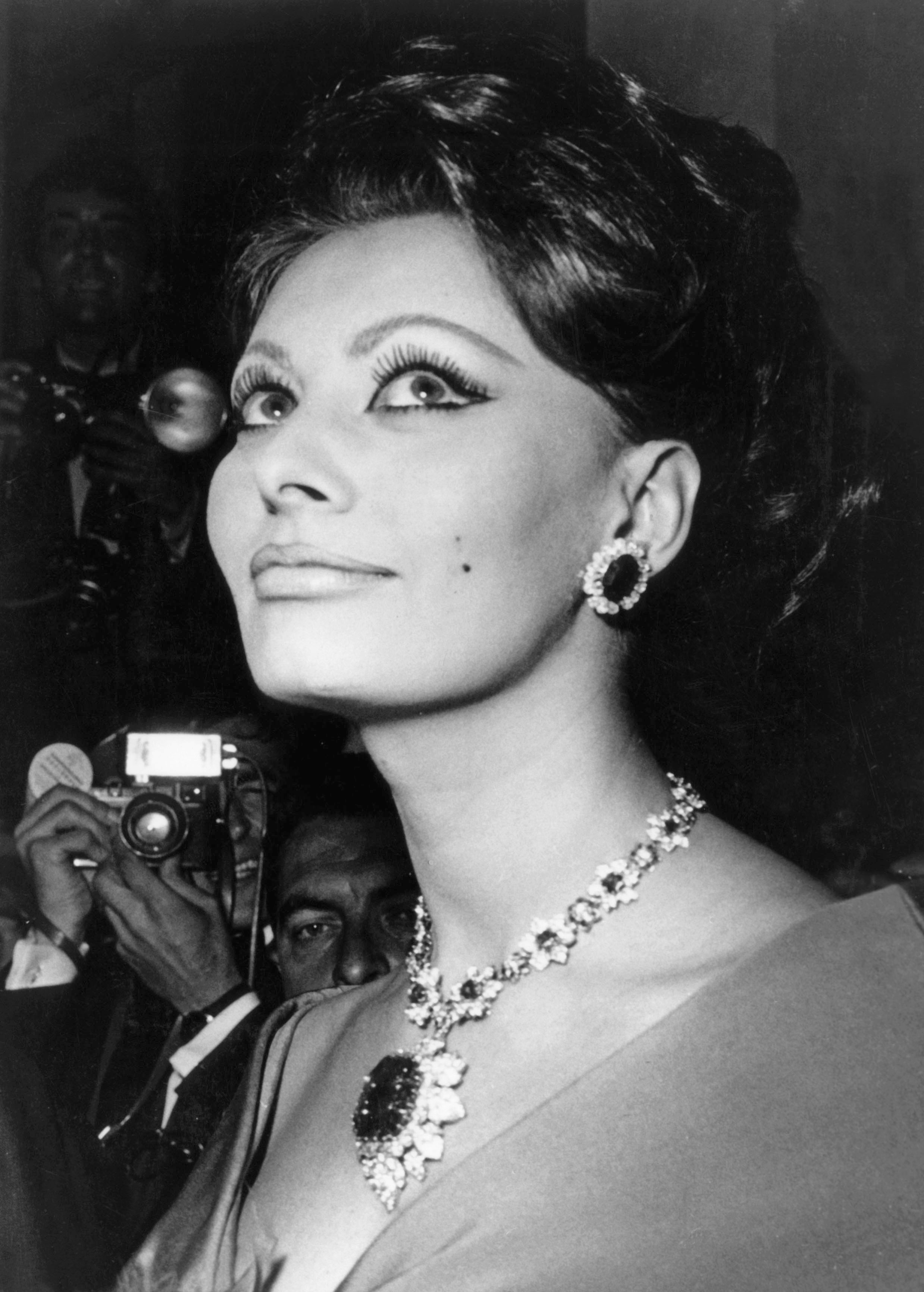 Next photo of Sophia Loren