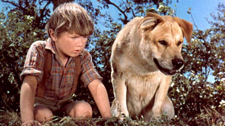 Kevin corcoran old yeller