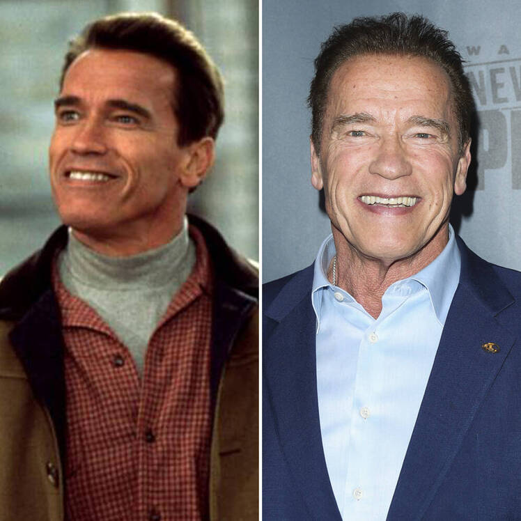 Arnold schwarzenegger jingle all the way