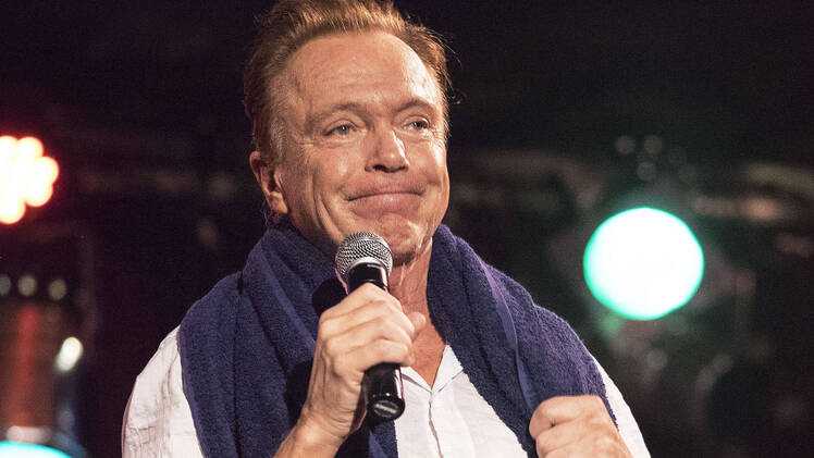 David cassidy