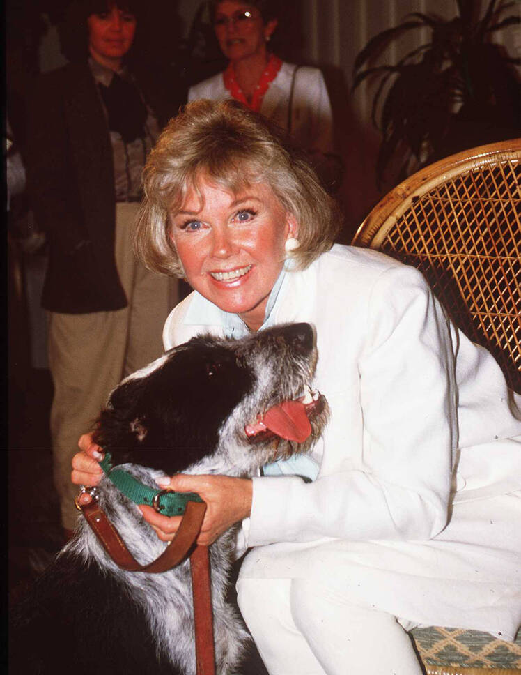 doris day dog getty images