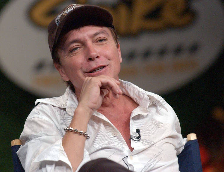 David cassidy
