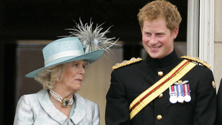 Prince harry camilla parker bowles