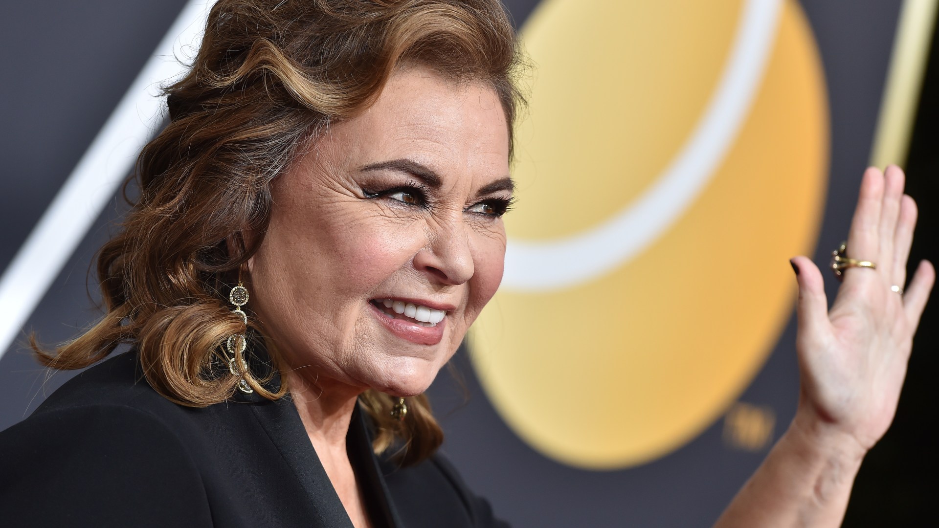 Roseanne Barr Is Allegedly Doing Her Own Talk Show