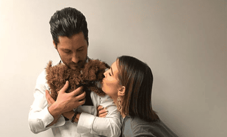 Val chmerkovskiy jenna johnson
