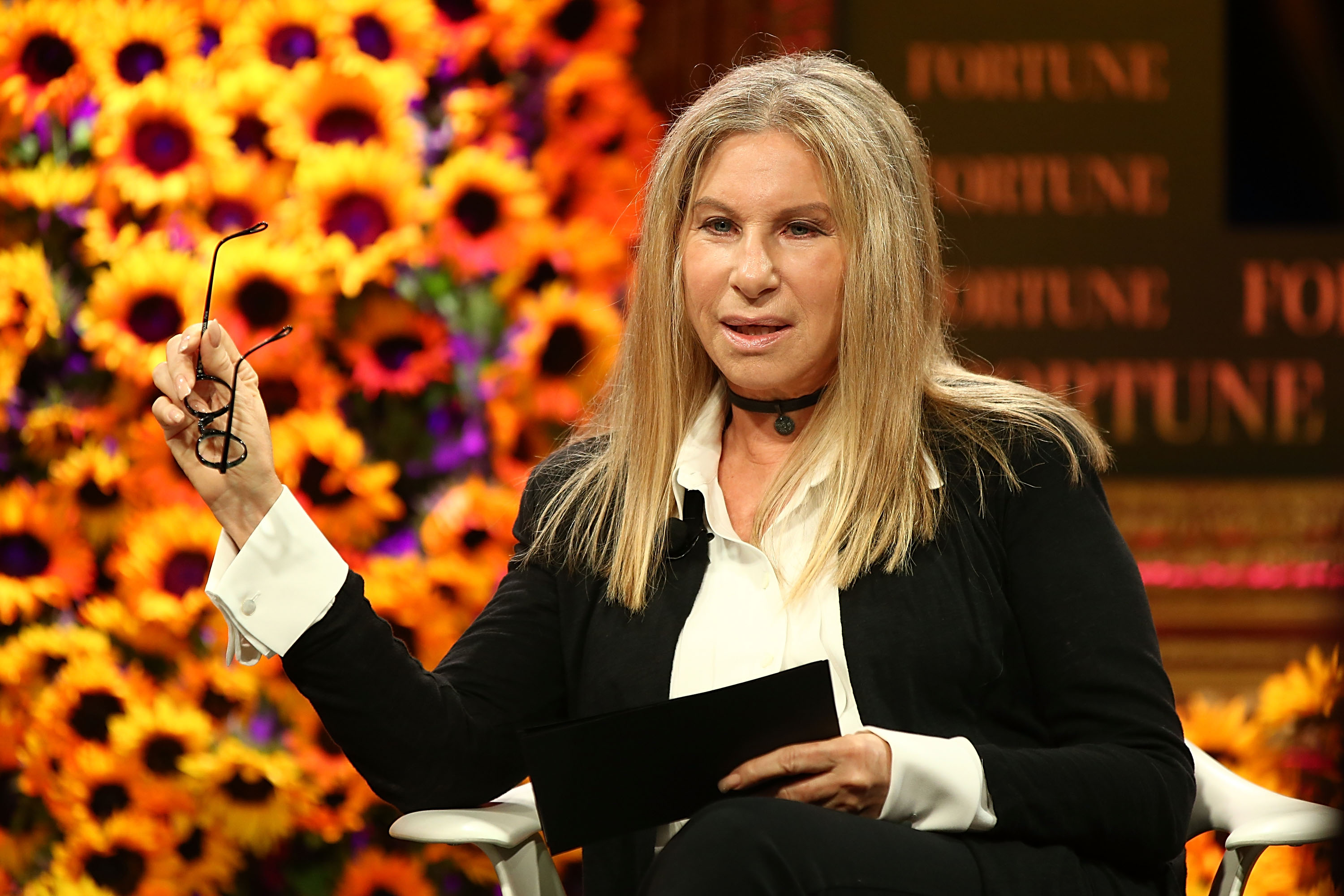 Barbra Streisands New Song Slams President Donald Trump