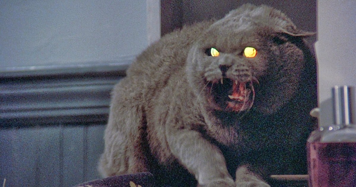 Stephen King's 'Pet Sematary' Original Movie 30th Anniversary: Exclusive