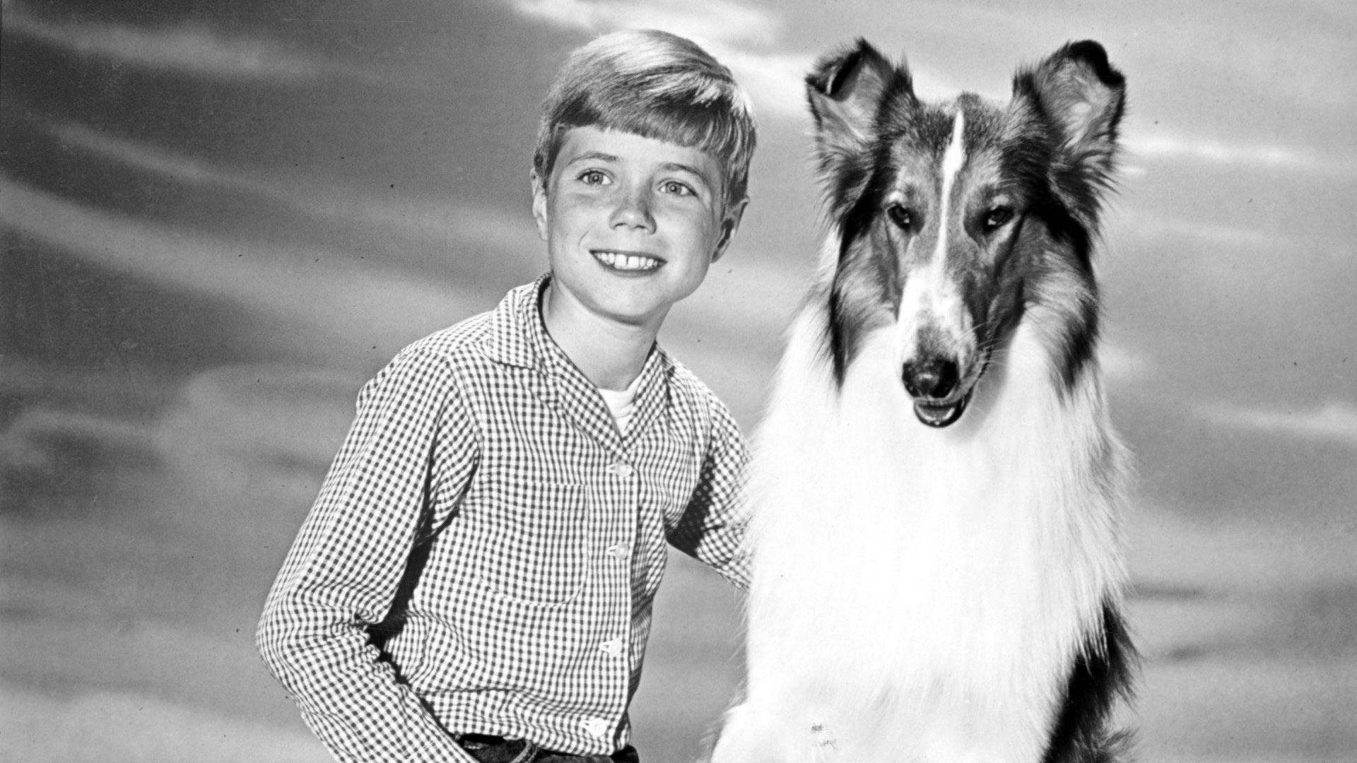 Lassie' star Jon Provost says Timmy was never trapped in a well: 'We just  don't know where that came from
