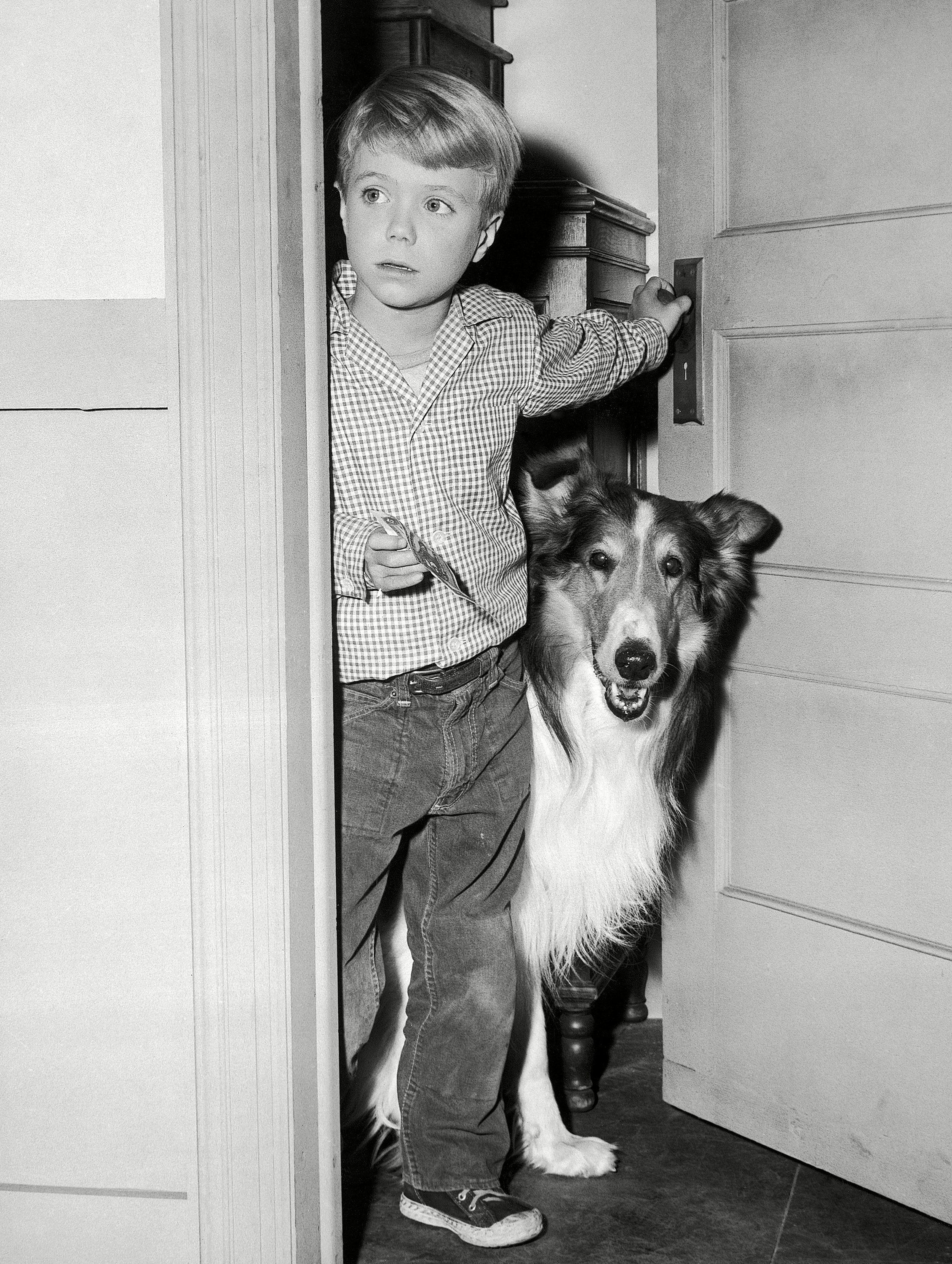 Episode 66  Lassie's Boy Sidekick: Meet Jon Provost, aka Timmy - School  For The Dogs