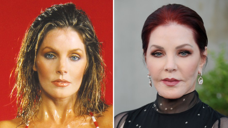 Priscilla Presley Then and Now See the Actress' Transformation