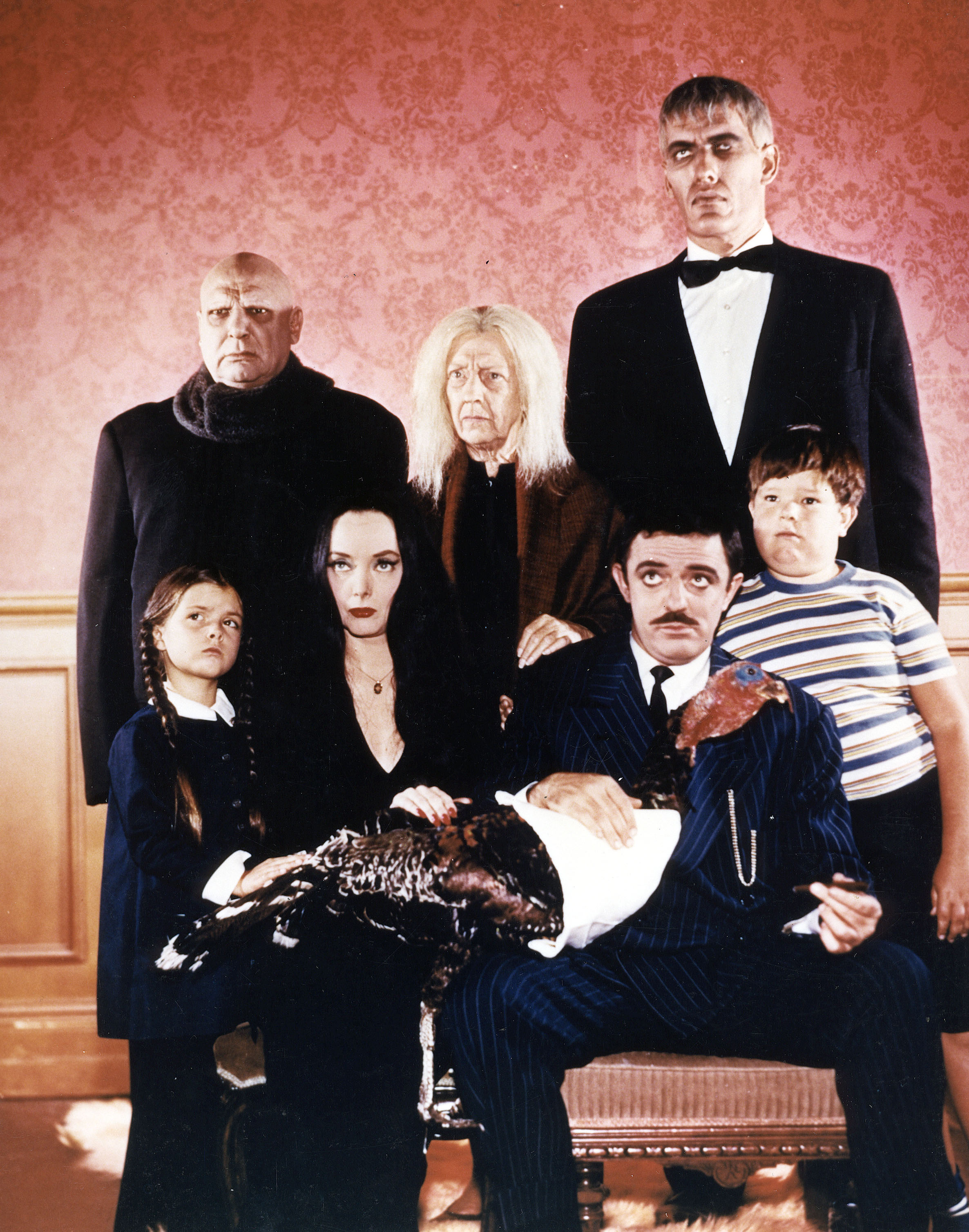 96 Best Ideas For Coloring Addams Family Original Cast   Blossom Rock Addams Family 2 