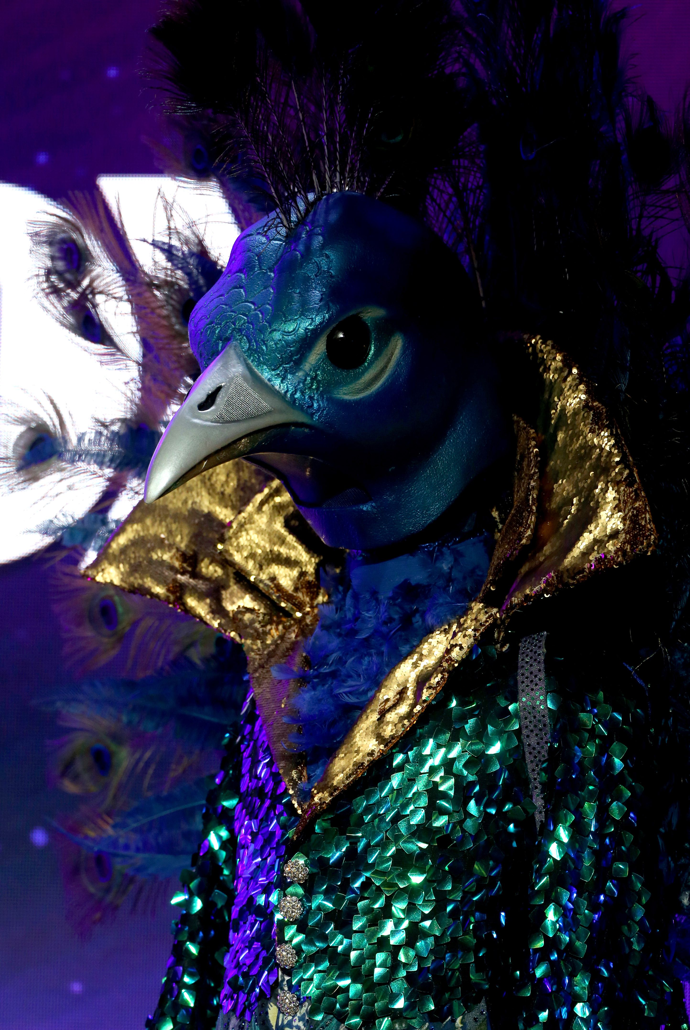 Donny Osmond Fan Wears Peacock Costume From The Masked Singer   Donny Osmond Masked Singer 