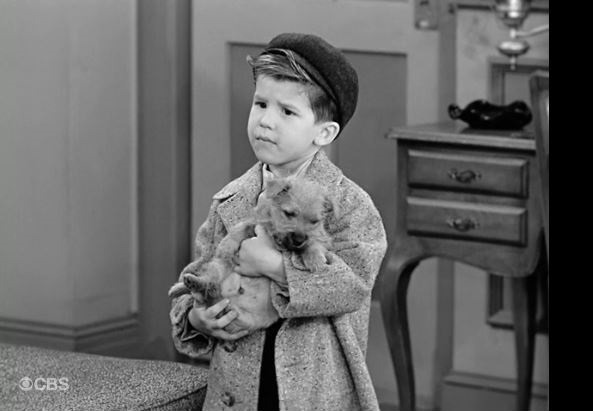 Meet The Actor Who Played Little Ricky On I Love Lucy