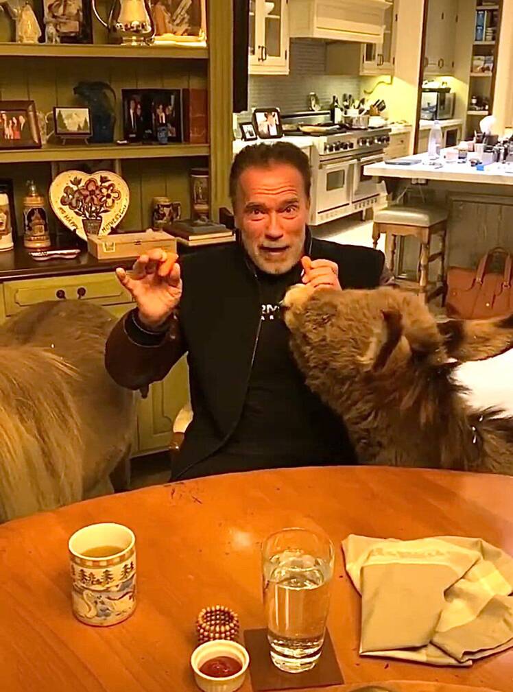 arnold-schwarzenegger-donkey-pony-coronavirus-psa03