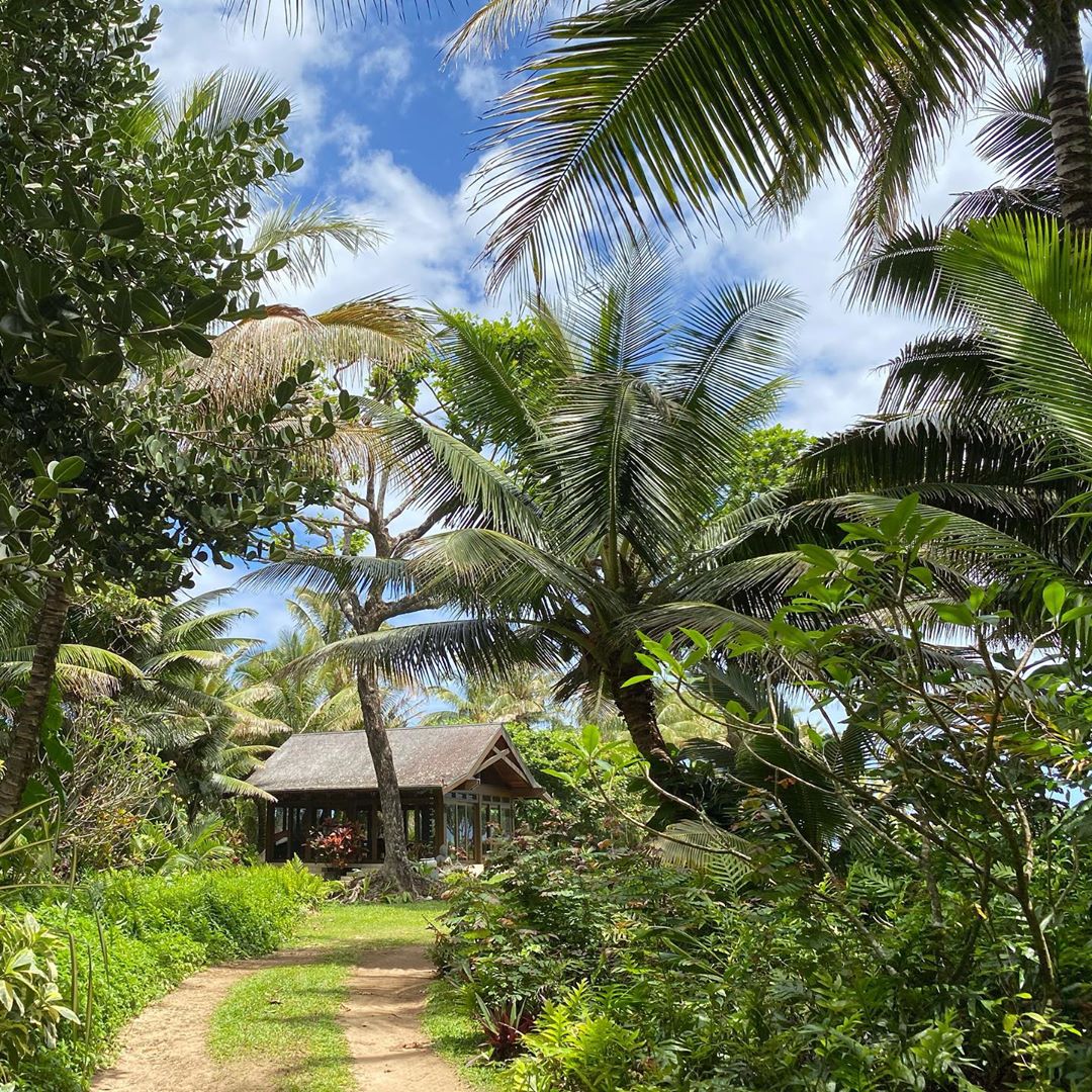 Where Does Pierce Brosnan Live Photos Inside His Hawaii Home 