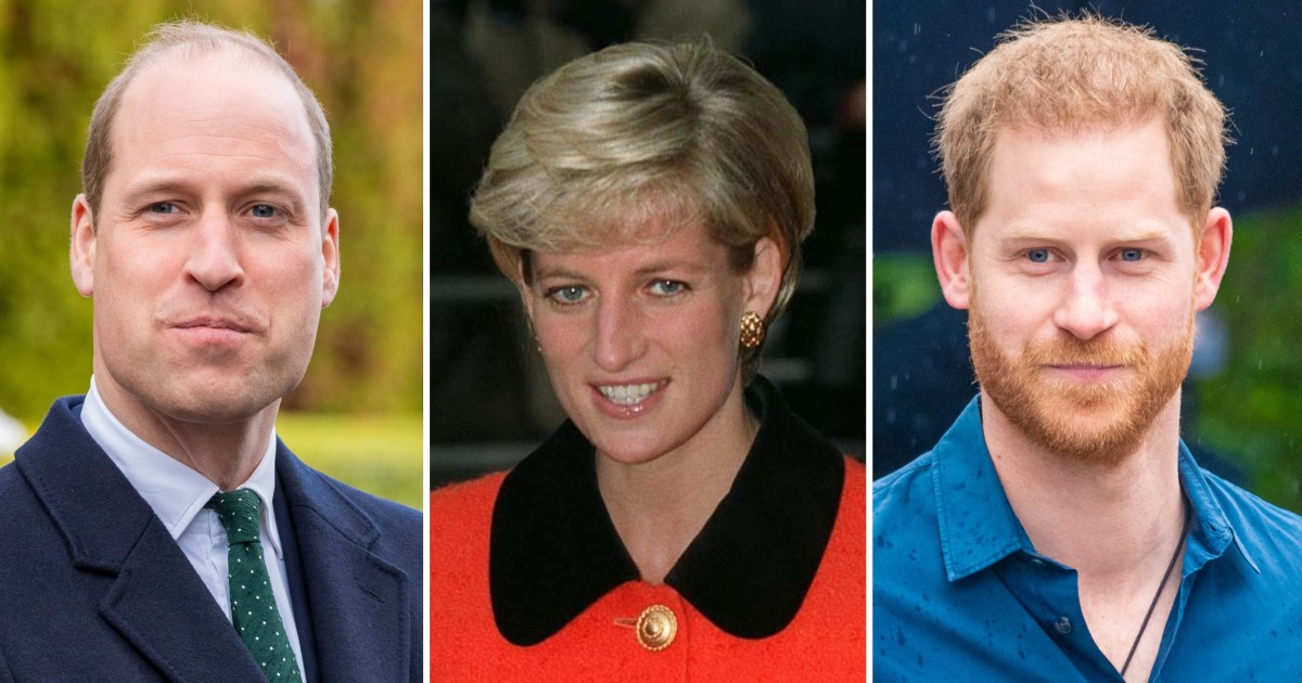 Prince William and Prince Harry's Plans to Honor Mom ...