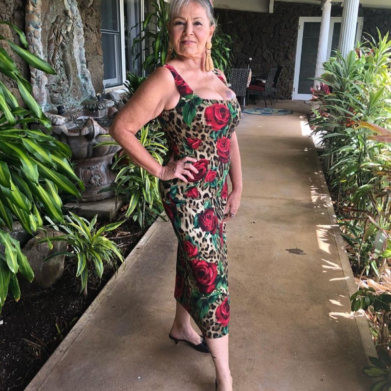 Where Does Roseanne Barr Live? Photos and Tour of Hawaii Home | Closer  Weekly