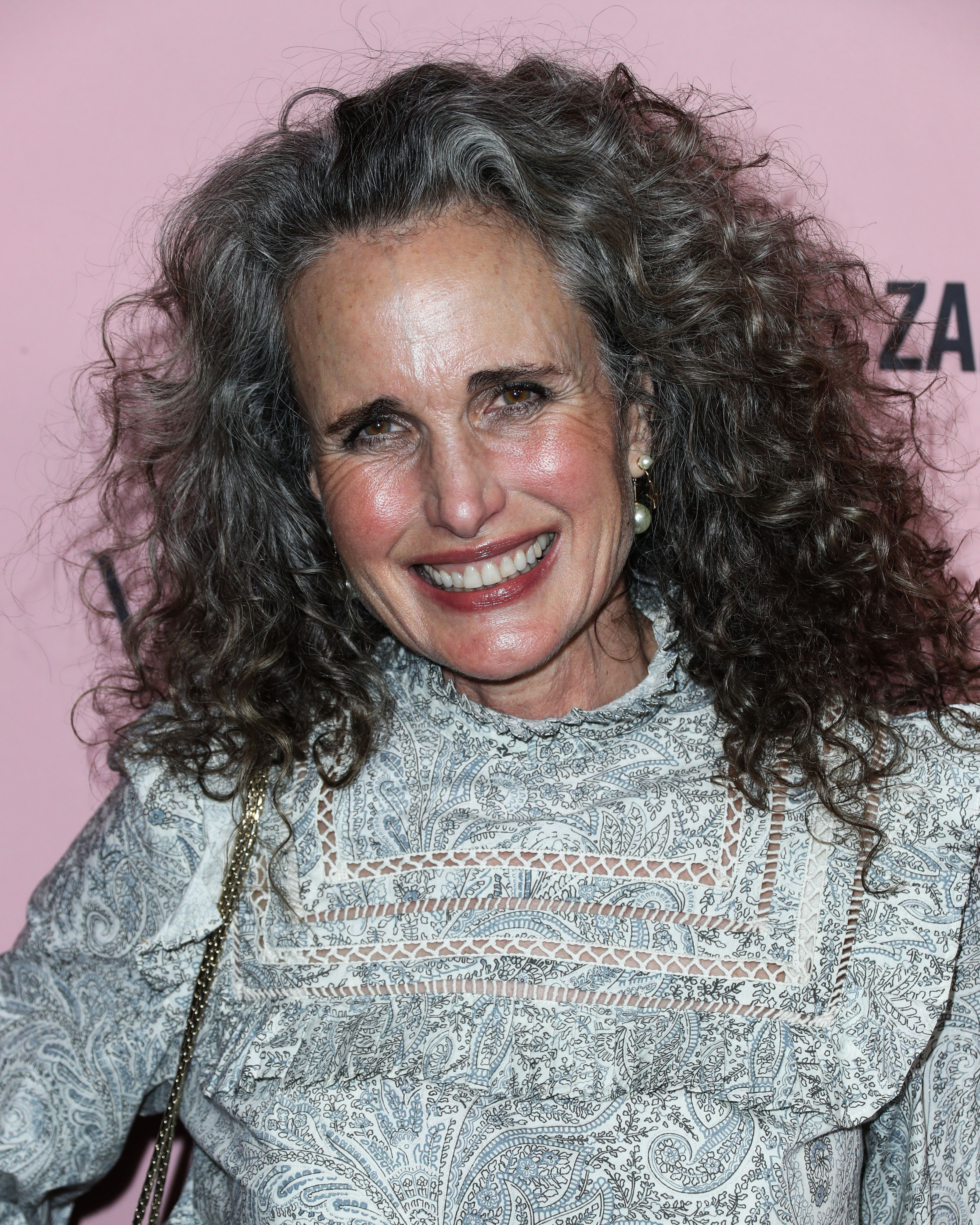 Andie MacDowell Embraces Her Gray Hair: Red Carpet Photos | Closer Weekly