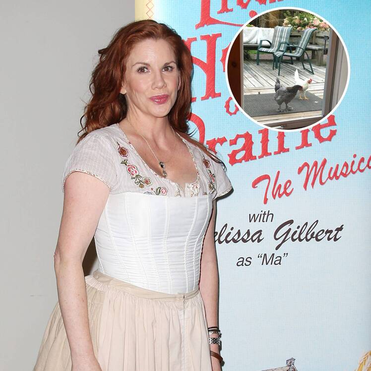 Melissa Gilbert House Tour: Photos of New York Home