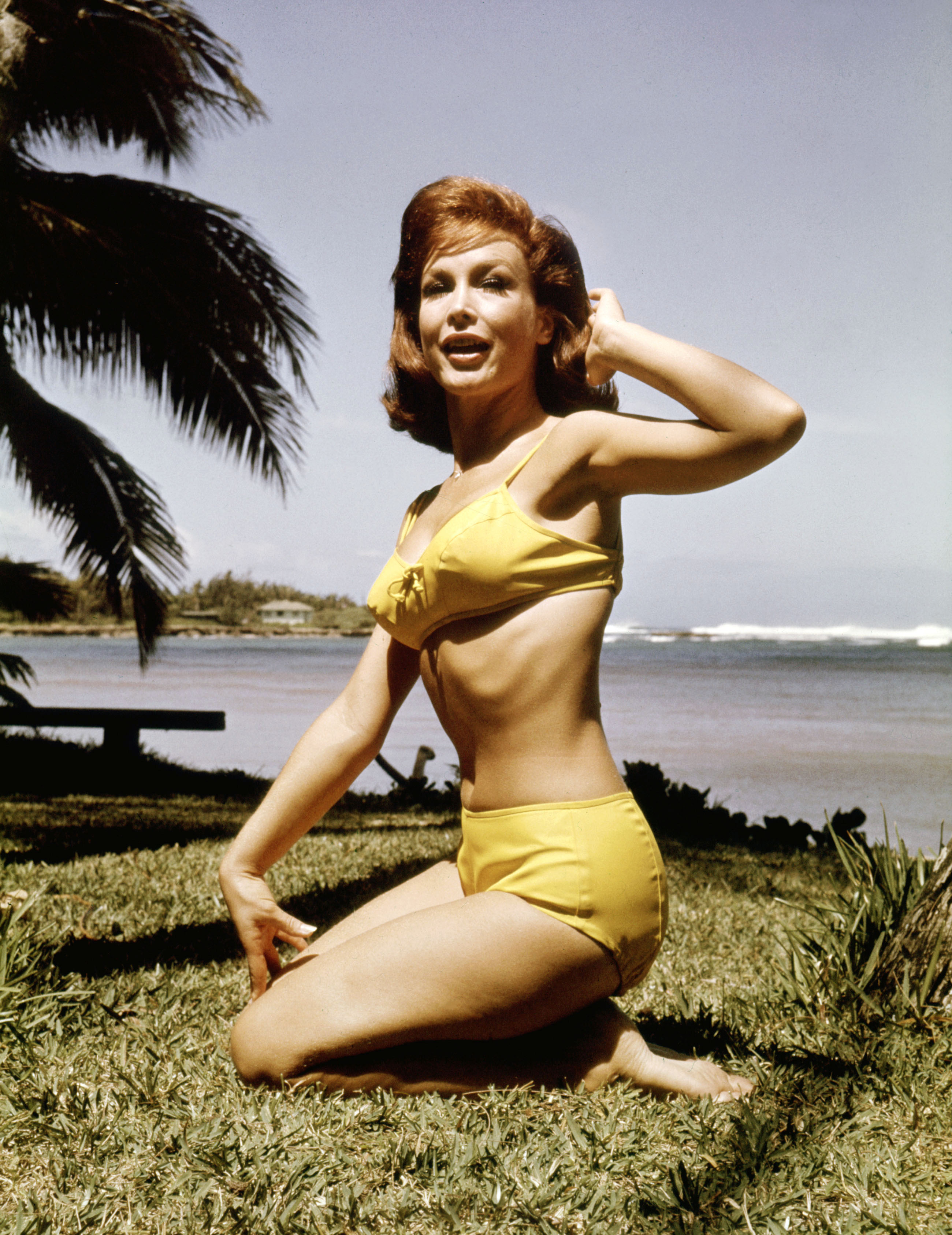 barbara eden in bathing suit