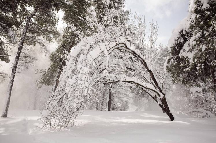 How to Avoid Winter Health Risks: Steps to Help Prevent Illness