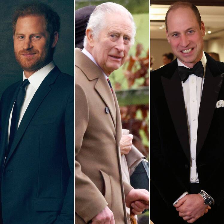 Prince Harry, Prince William 'Mending’ Amid King Charles' Cancer