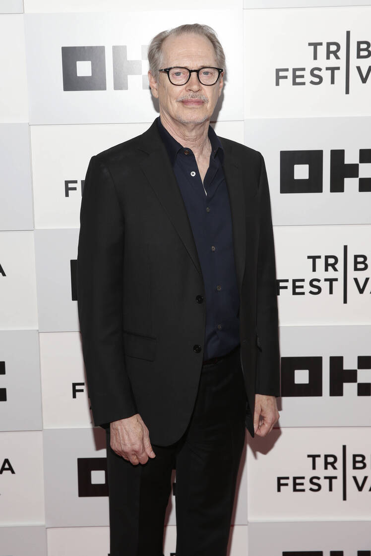 Steve Buscemi Punched in the Face in NYC Attack: What Happened?