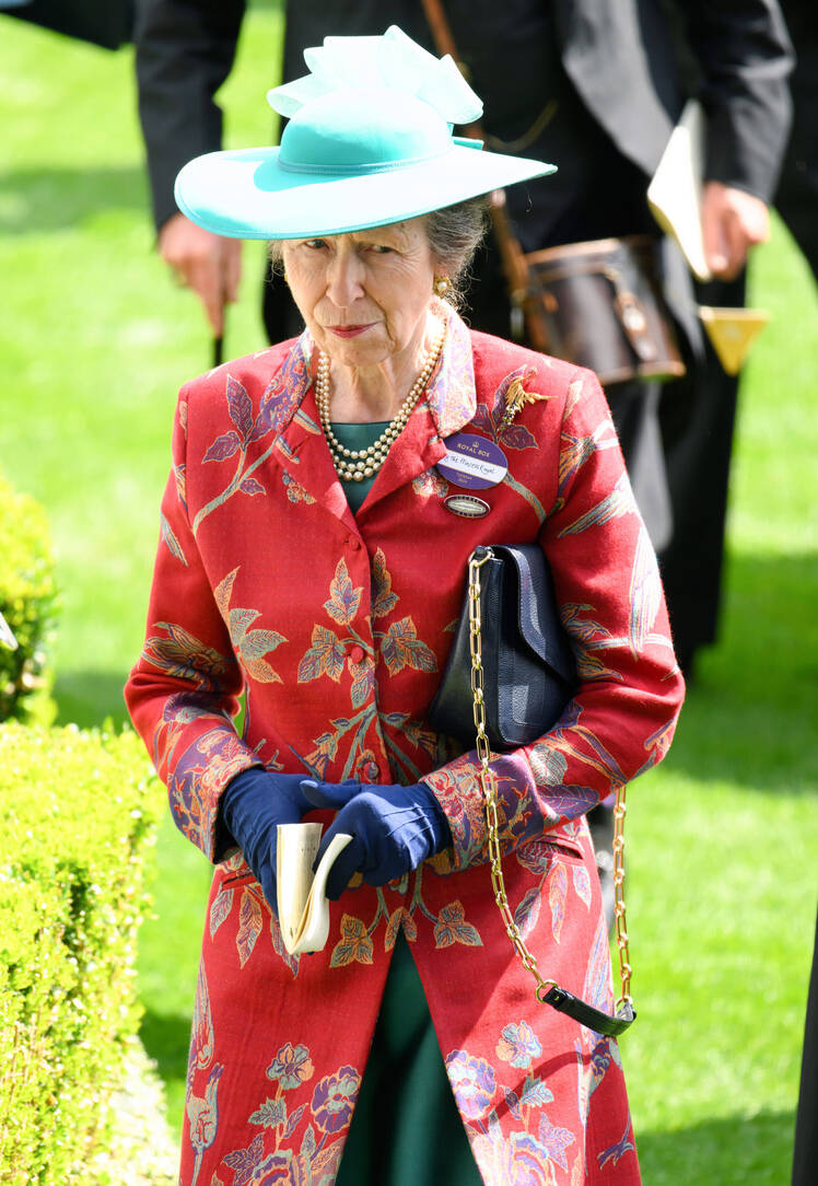 Princess Anne Hospitalized With Minor Injuries After 'Incident'