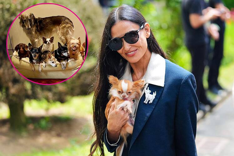 Demi Moore s Love Life Is Going to the Dogs! Actress Is Putting Her Pets Before Dating 312