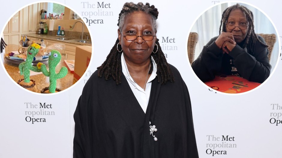 Inside Whoopi Goldberg's New Jersey Home: The View Host's House