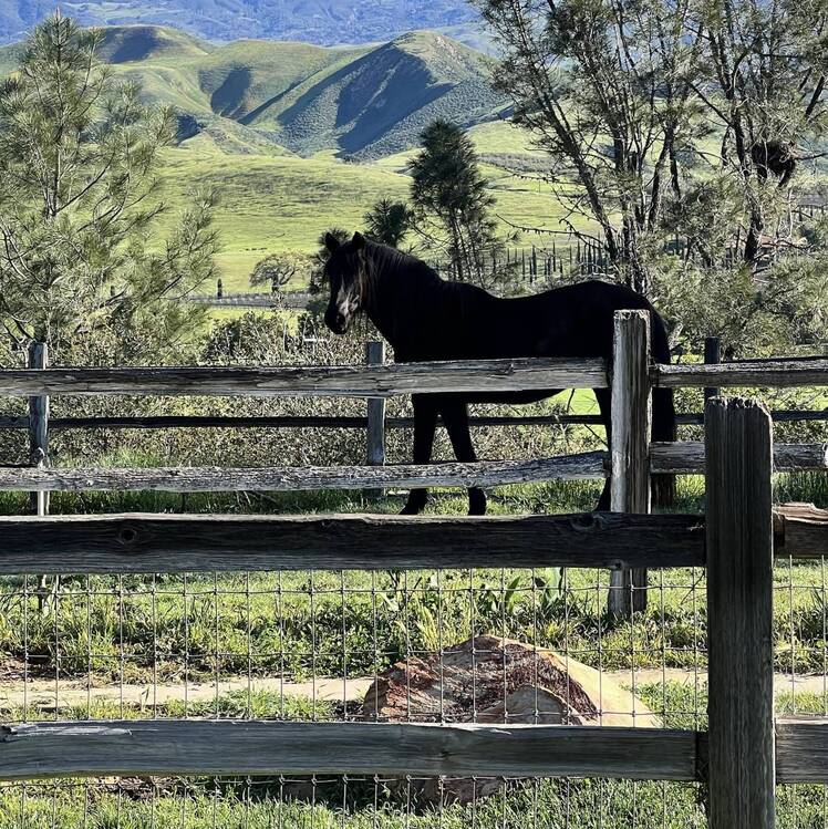 Bo Derek's California ranch