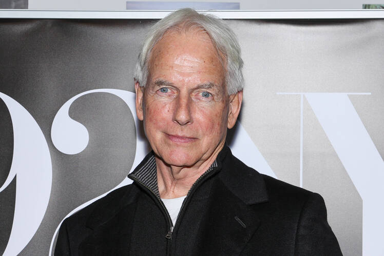 Mark Harmon Got 'Bored Real Fast' With Retirement Post 'NCIS' (EXCL)