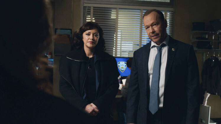 Donnie Wahlberg Says This Is the End of Blue Bloods 'For Now'