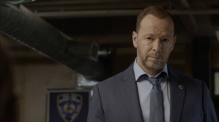 Donnie Walhberg's Blue Bloods Offshoot: What We Know About New Show