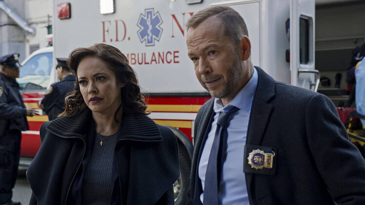 Blue Bloods Characters We Want to See Appear in Boston Blue