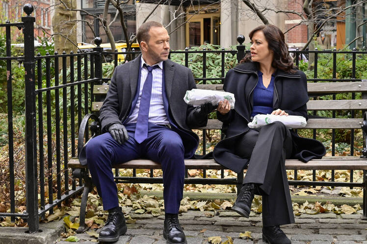 Was 'Blue Bloods' Really Filmed in New York City? Set Location