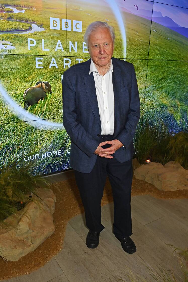Getty-1720320670 David Attenborough Turns 99: 'I Will Not See How That Story Ends'