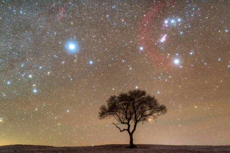 GettyImages-1364912472 horoscope forecast gemini