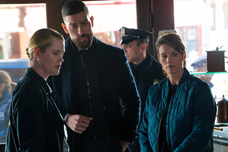 Blue Bloods' Abigail Hawk Returns to TV in New Cop Role