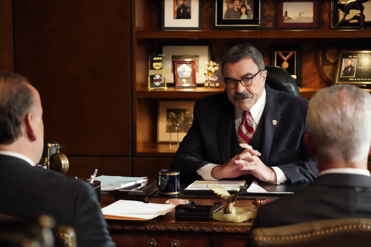 Blue Bloods Cast Moves On: 9 New Beginnings After Series Finale