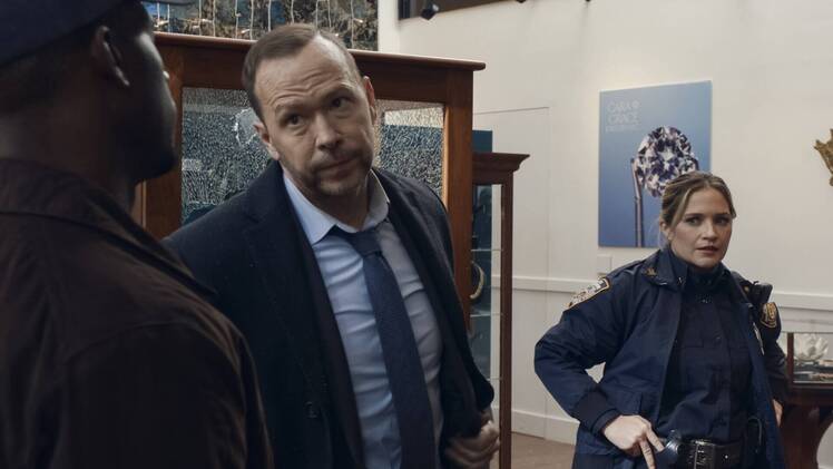 Boston Blue Will Give 'Updates on What's Happened Since' Blue Bloods