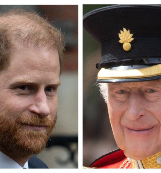 Prince Harry King Charles